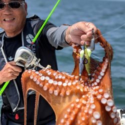 伊勢湾沖タコ釣り開幕！